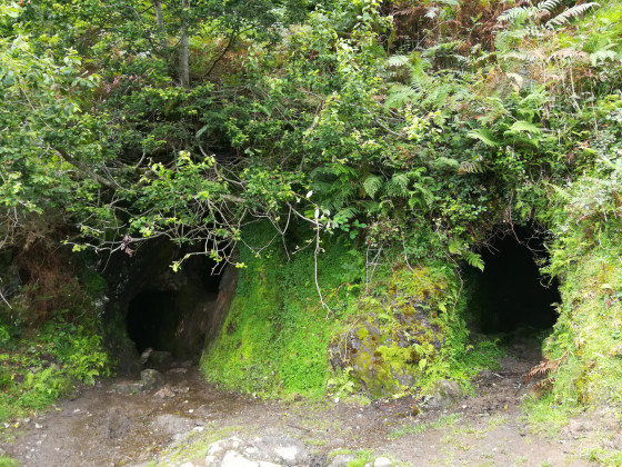 Les grottes