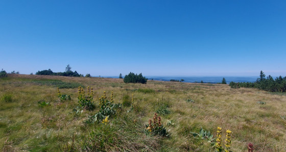Les Hautes-Chaumes, vue vers la Lorraine