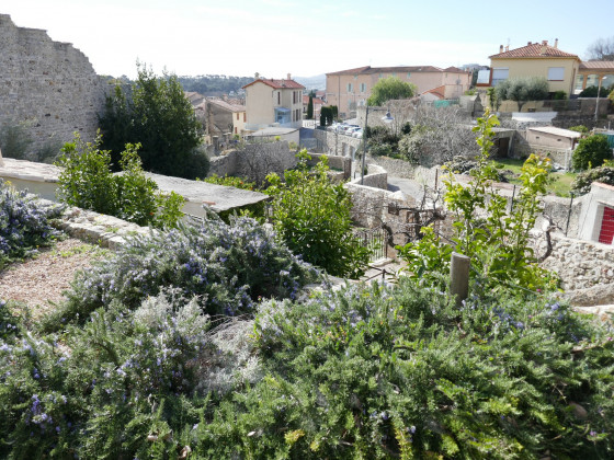 Les hauts d'Ollioules vus du jardin des Vintimille