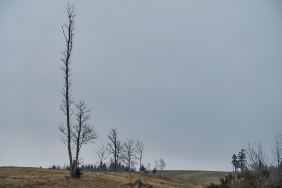 Les hauts plateaux