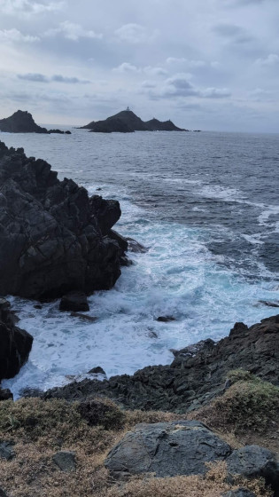 Les &icirc;les Sanguinaires