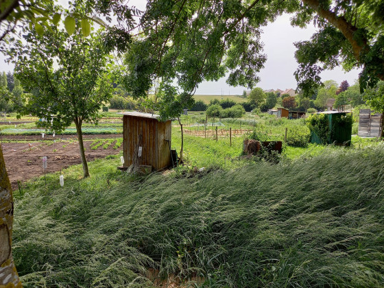 Les jardins des Marais