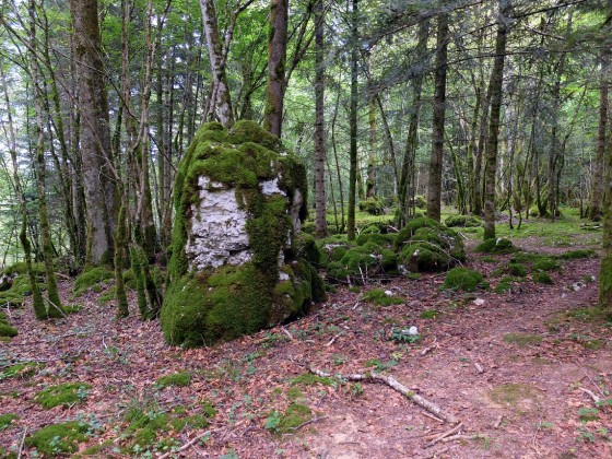 Les lapiaz du bois des Serpents
