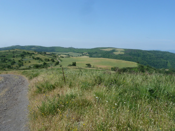les Mamelons du Haut Languedoc