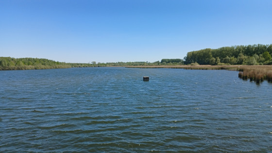 Les marais d'Harchies