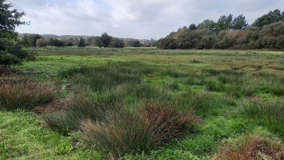 Les Marais de Coinante