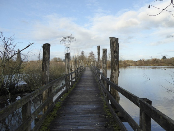 Les marais de Fretin