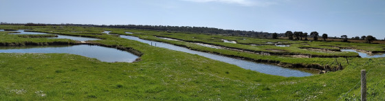 Les marais de Talmont St Hilaire