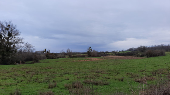 Les Marais de Tarzy