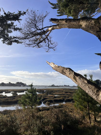 Les marais du Kerbihan