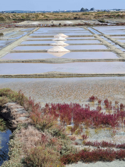 les marais salants de Gu&eacute;rande