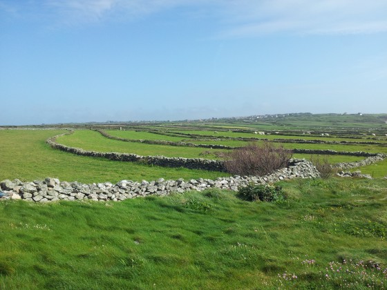 Les mares de terre