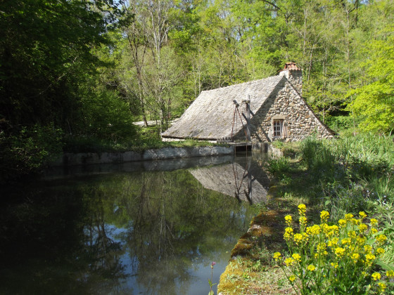 Les Martinets du L&eacute;zert