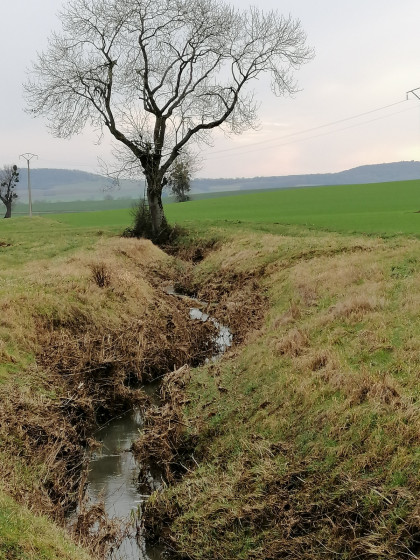 Les méandres du ruisseau de Salival