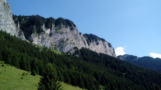 Les mémises et le Mont César