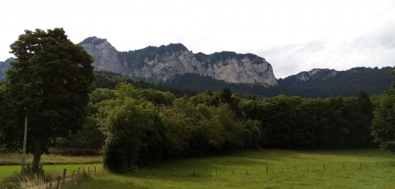 Les M&eacute;mises