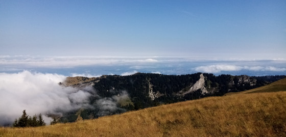 Les Mémises