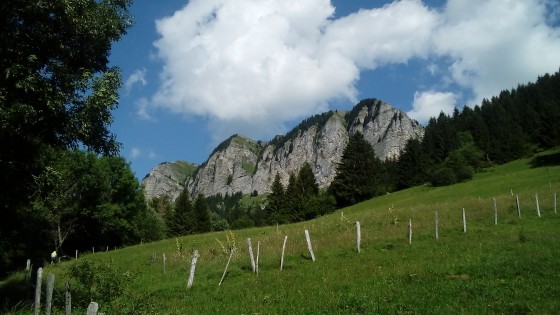 Les Mémises
