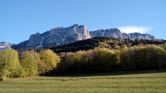 Les Mémises