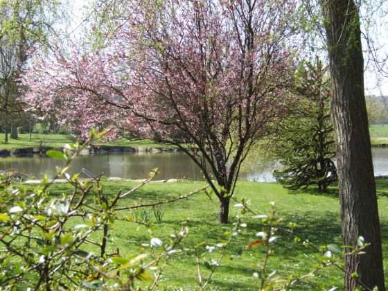 Les Mesnuls - Parc de l\'ancien moulin.