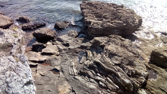 Les migmatites de Port Navalo