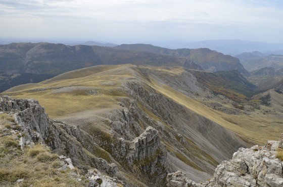 Les monges