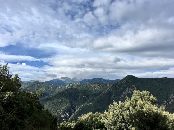 Les montagnes verdoyantes