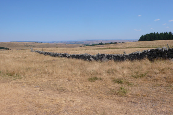 Les Monts d'Aubrac entre Aubrac et Nasbinals