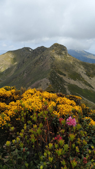 Les monts d\'Olmes vu du pic de Girabal