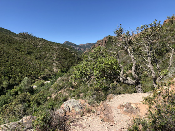 Les monts de l\'Estérel du début du chemin