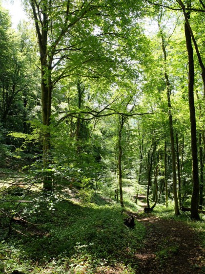 Les Monts de Souvance
