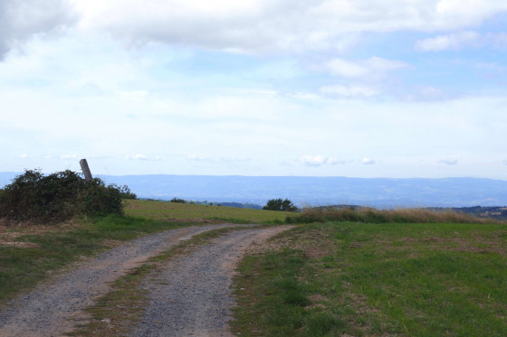 Les Monts du Forez