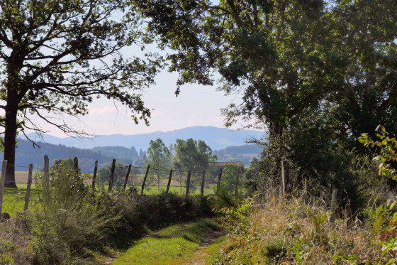 Les Monts du Lyonnais