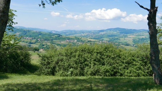 Les monts du Lyonnais