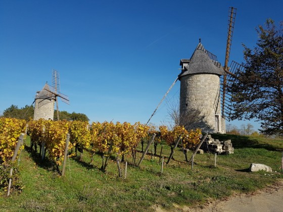 Les Moulins de Calon
