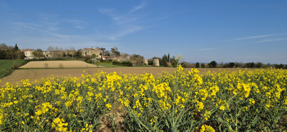 Les moulins