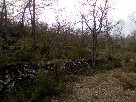les murets d'anciennes restanques