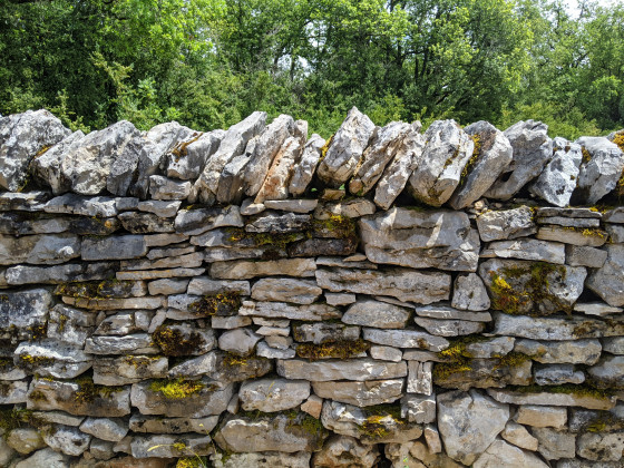 Les murets de pierres sur le causse.