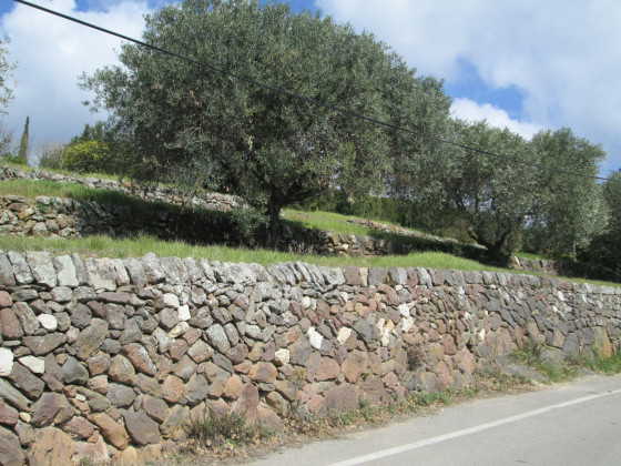 Les murs contiennent une grande proportion de pierres de basalte