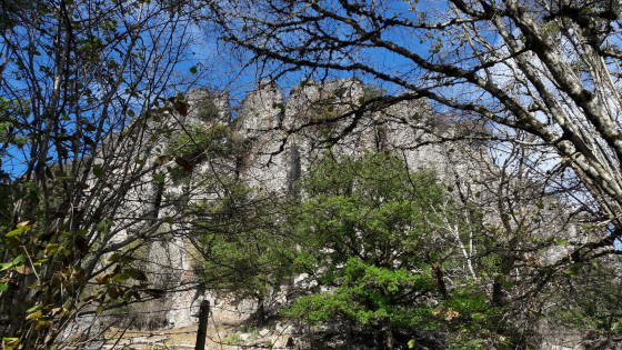 Les Orgues