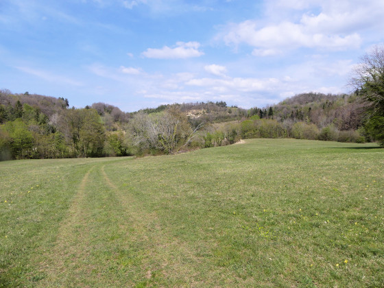 Les Ormes