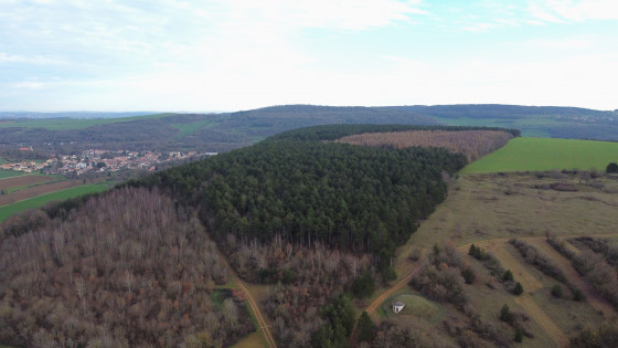 Les parcelles de bois