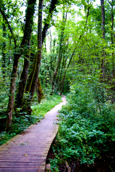 Les passerelles du Marais des Bidonnes