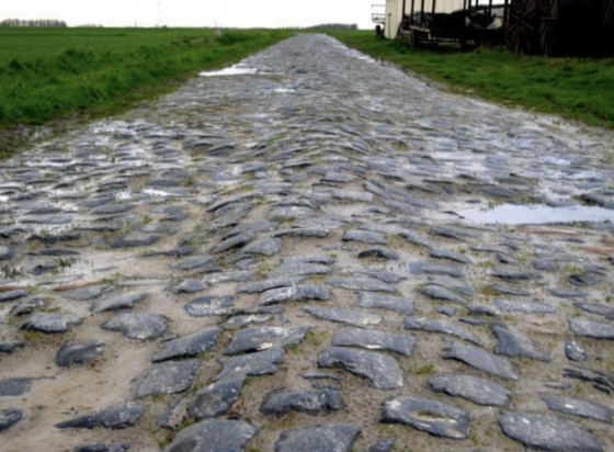 Les pavés du Carrefour de l’arbre