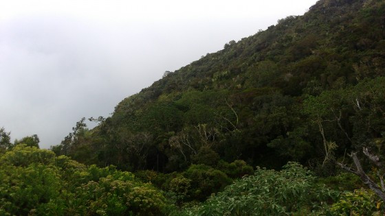Les paysages alentours