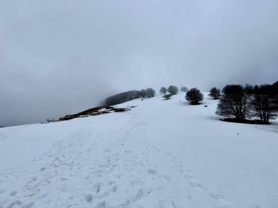 Les pentes vers Beauregard
