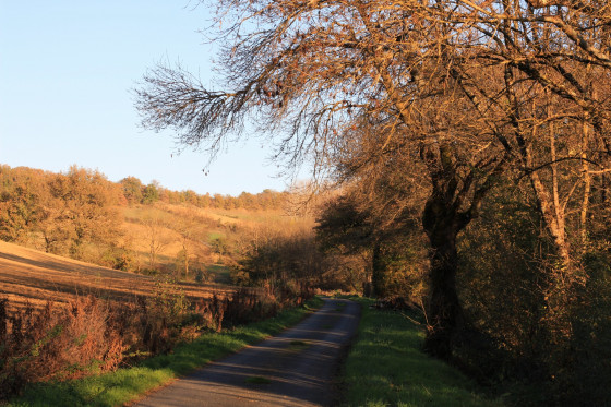 Les petites routes