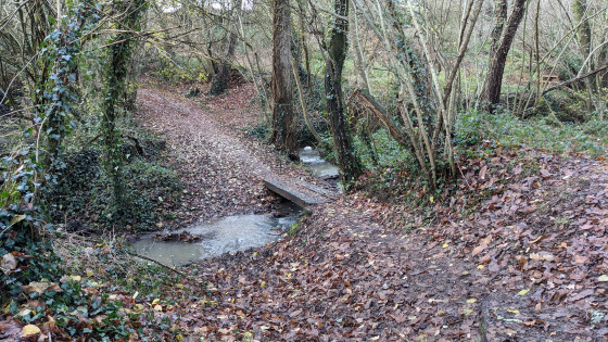 Les ponts des chemins creux de Sacé