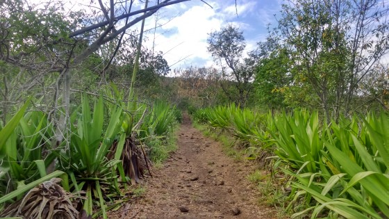 Les portions du sentier