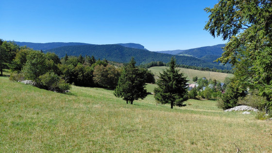 Les prairies des Clots